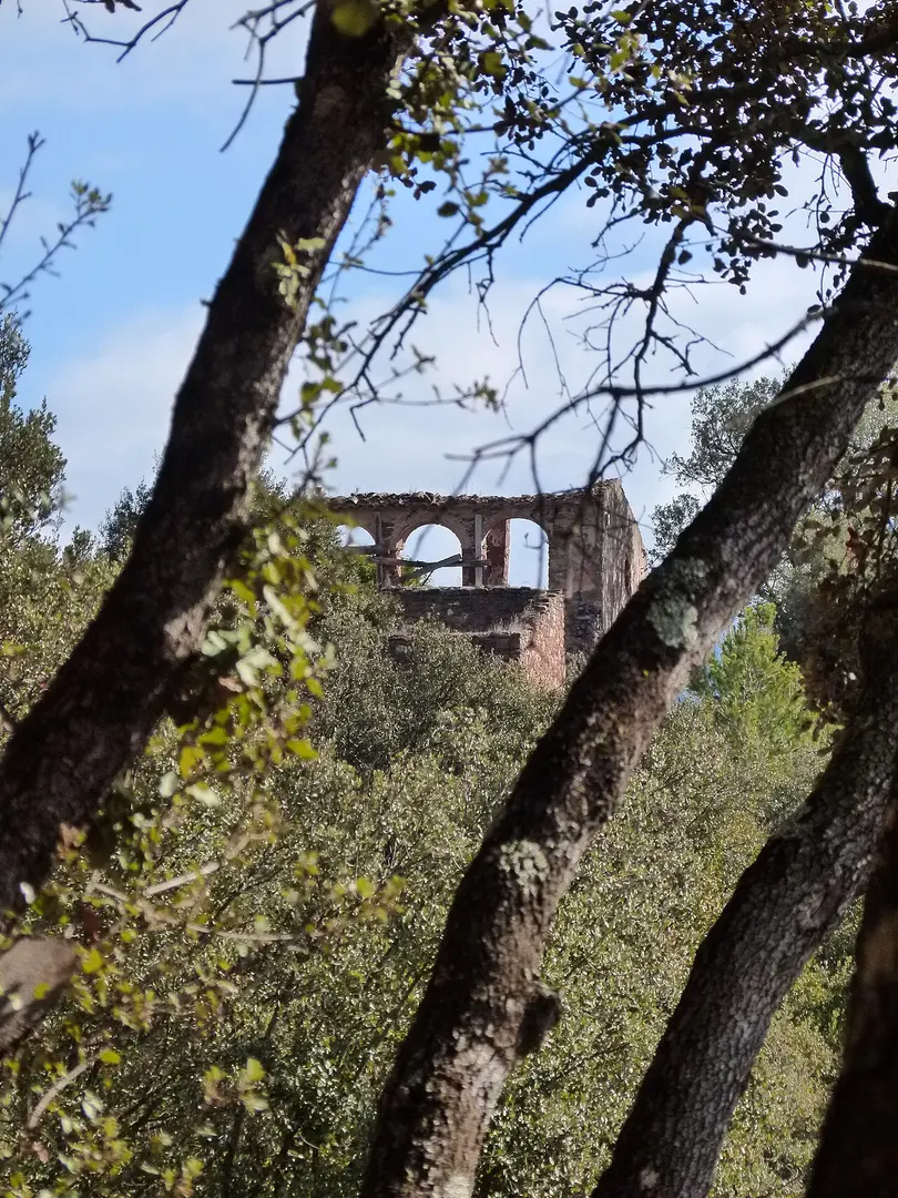 Can Serra de l'Arca