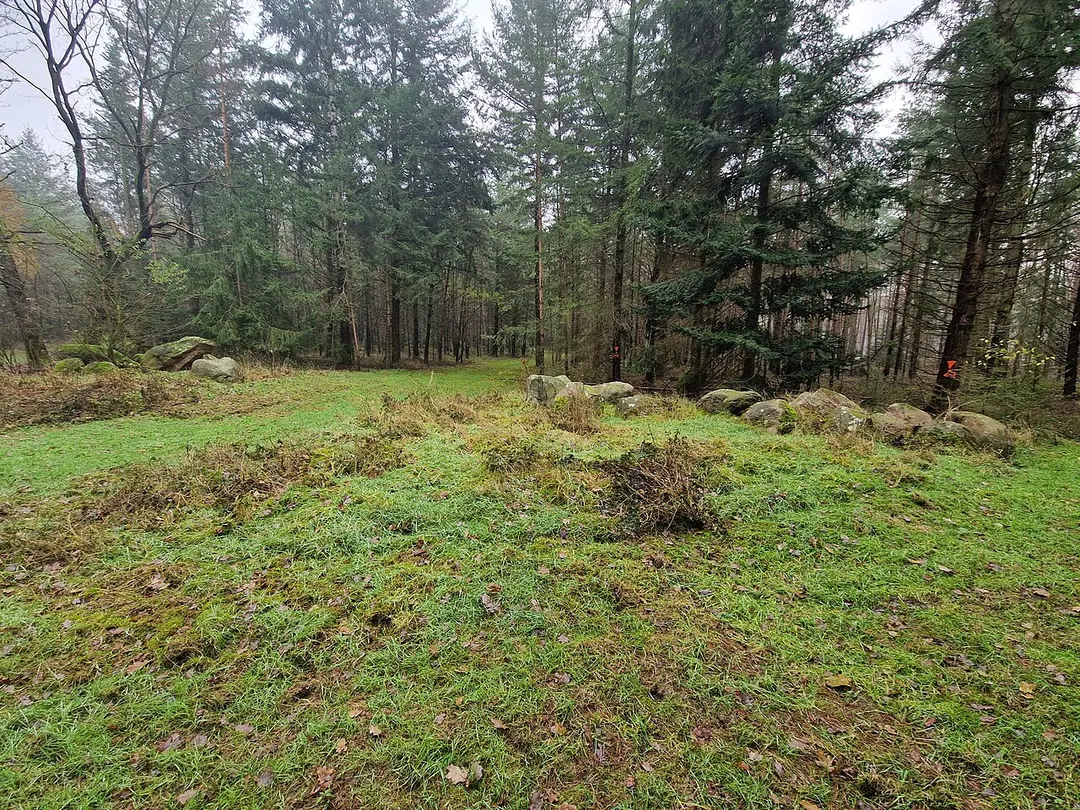 Großsteingrab Steinloger Kellersteine 1