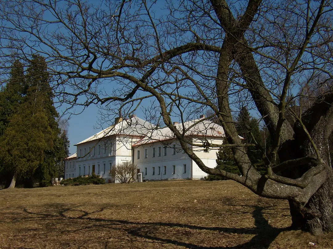 Březina