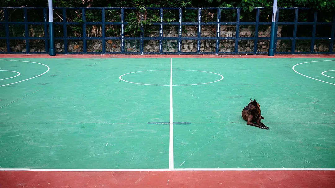 索罟灣遊樂場 Sok Kwu Wan Playground
