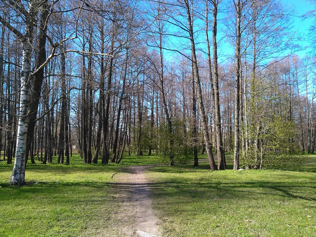 Löwenruh Park