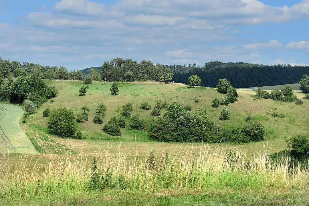 Dachsberg bei Iba