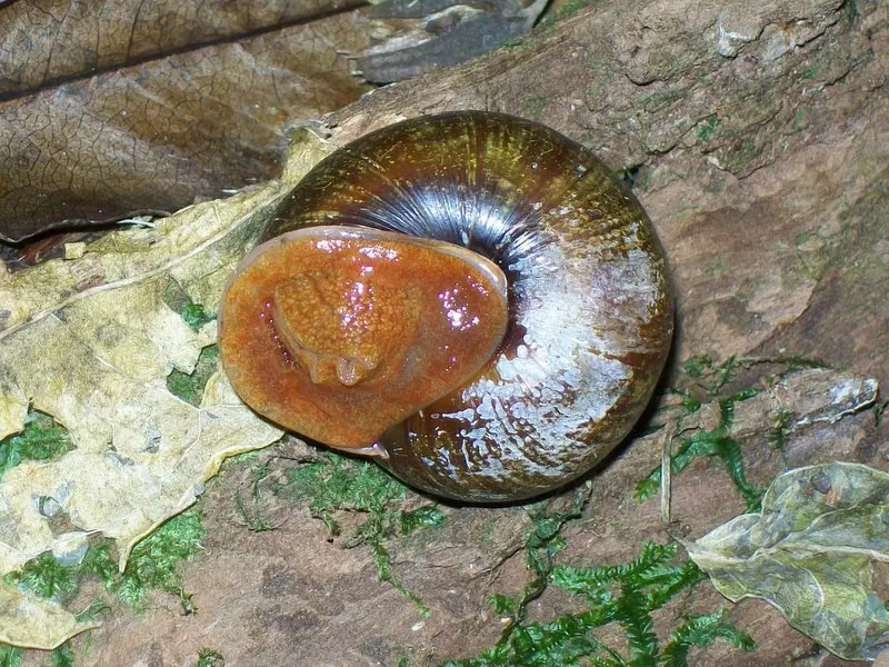 Garawarra State Conservation Area