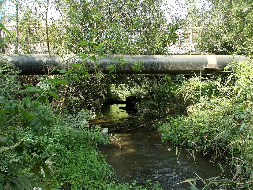 Grushevka