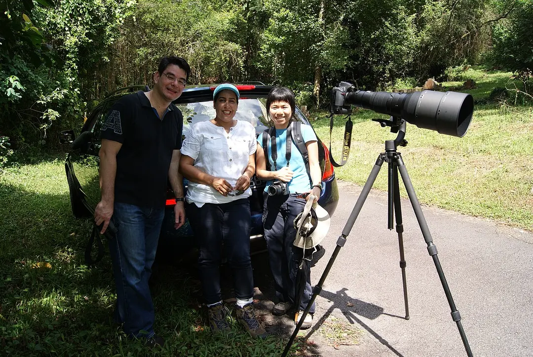 Bukit Brown Cemetery