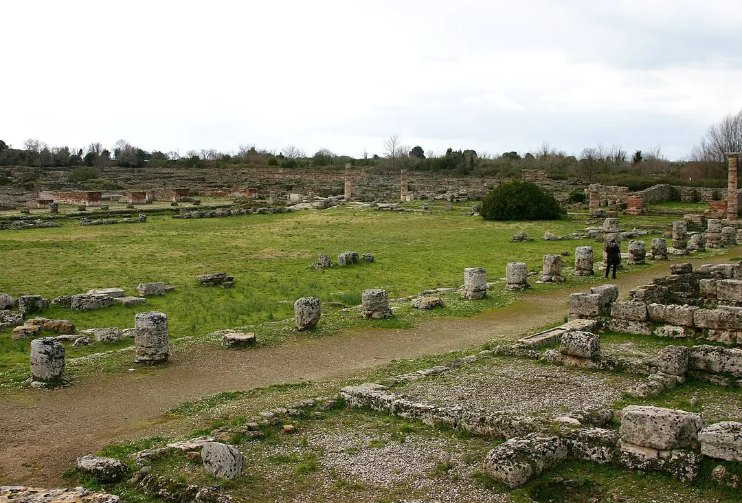 Foro