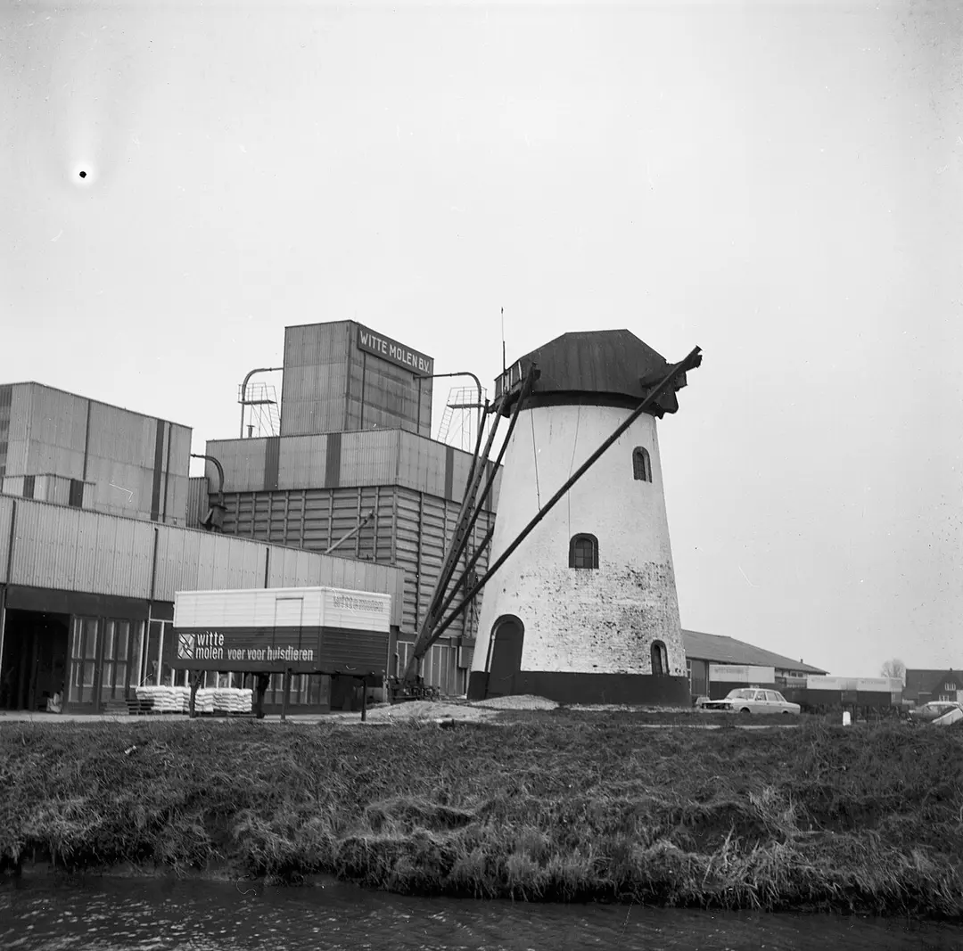 De Witte Molen