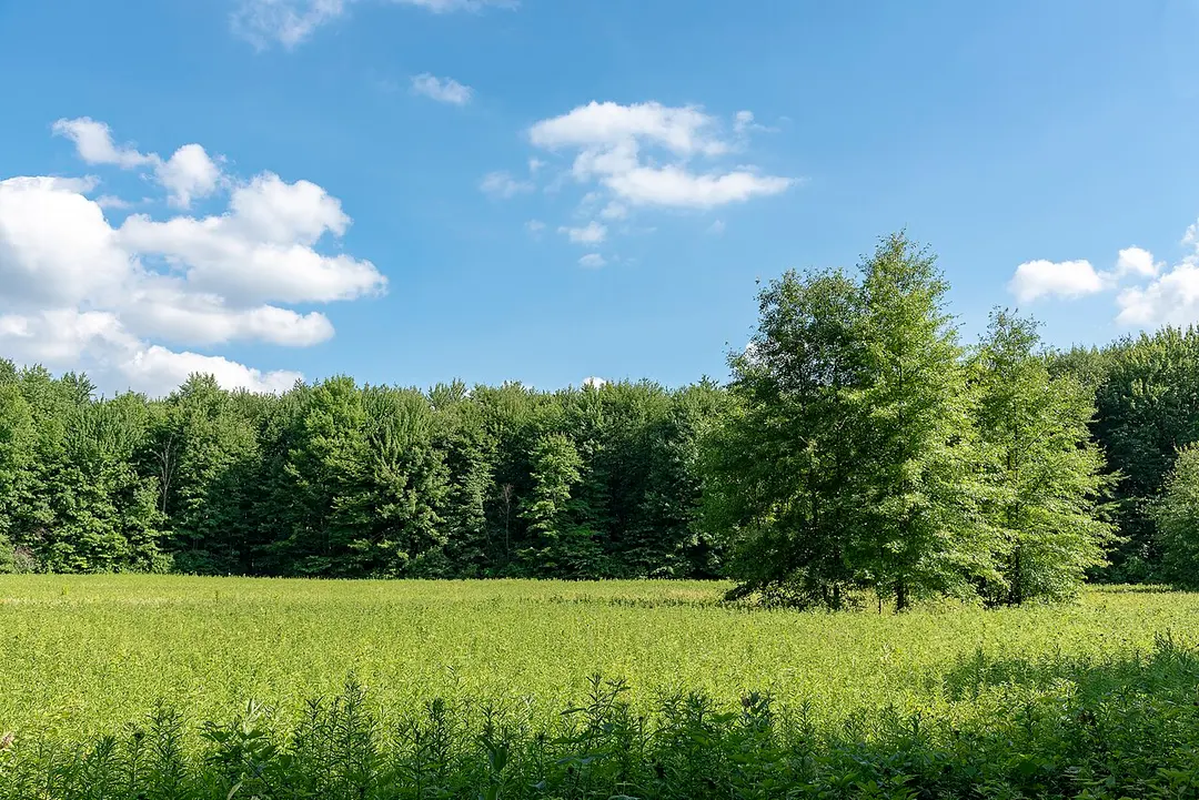 Blendon Woods Metro Park