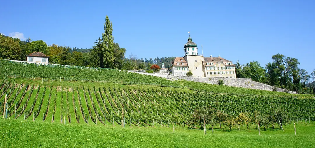 Schloss Grünenstein