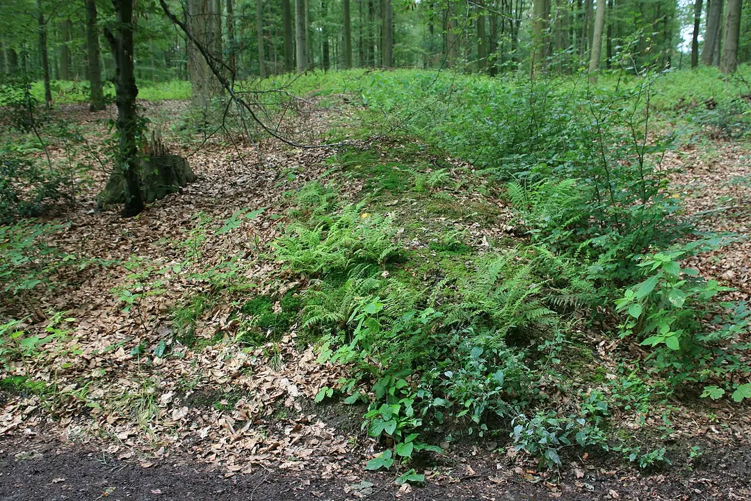 Wallanlage bei Müngsten