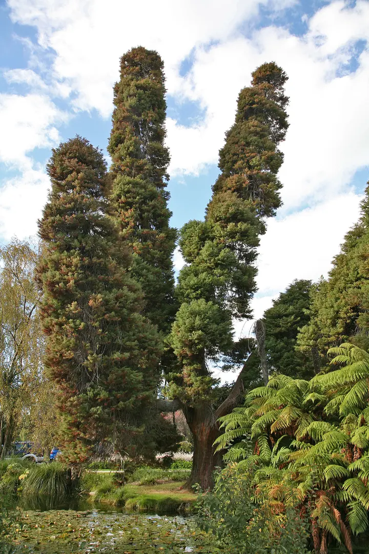 Government Gardens