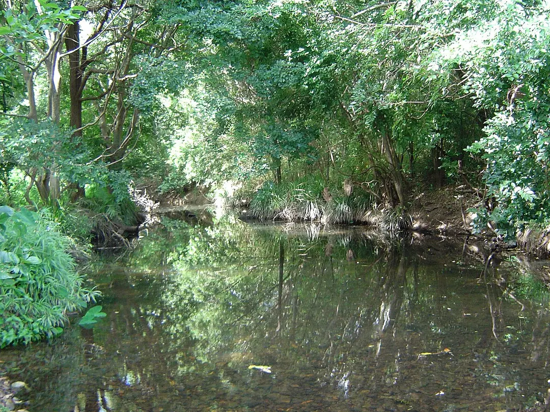 Moggill Creek