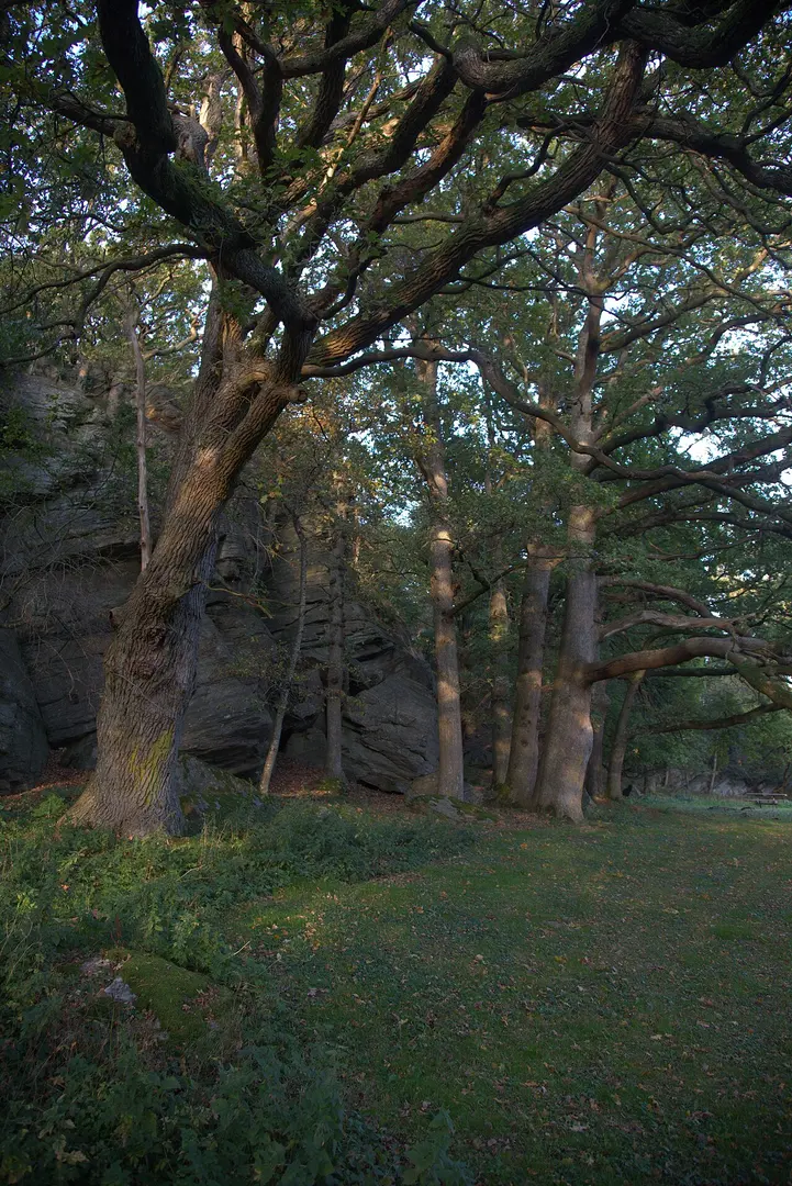 Hjörnes naturreservat