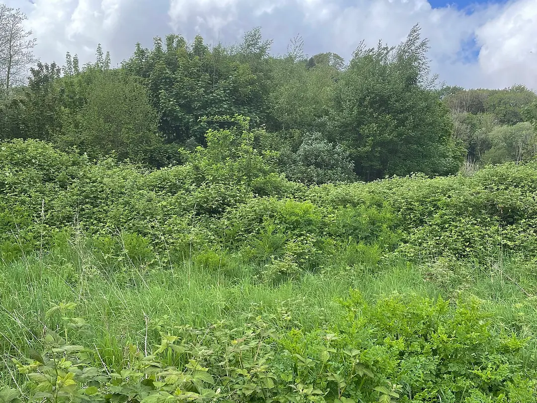 Morganstown Castle Mound