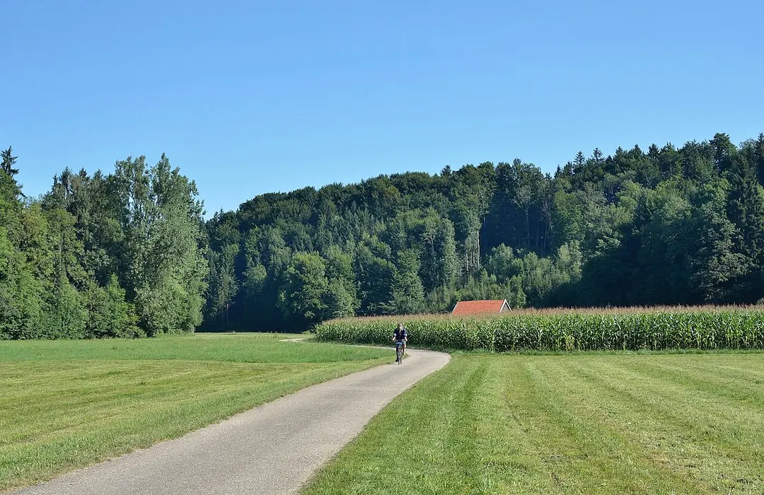 Berg im Attergau