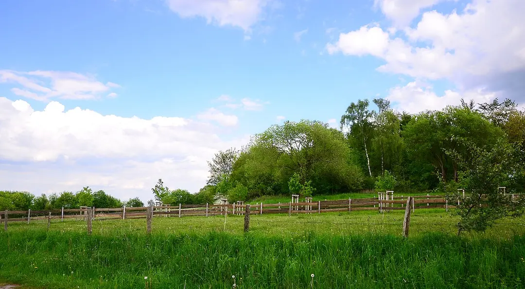 Burhagener Weg