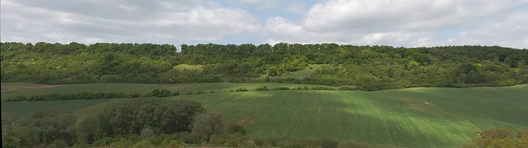 Milská stráň