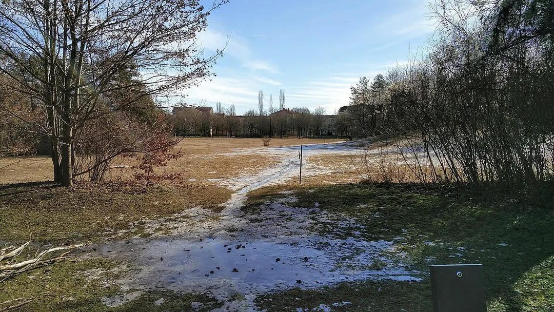 Freimanner Heide