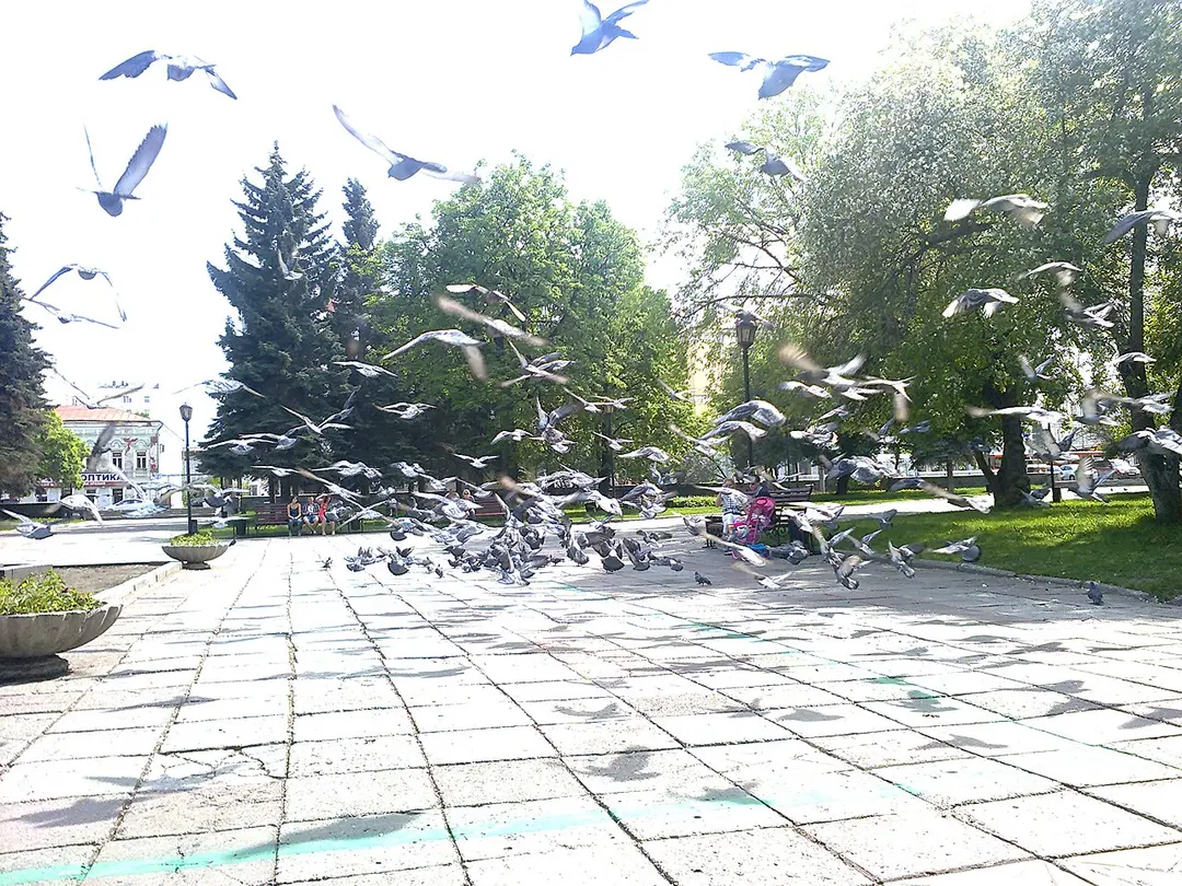 Theatergarten