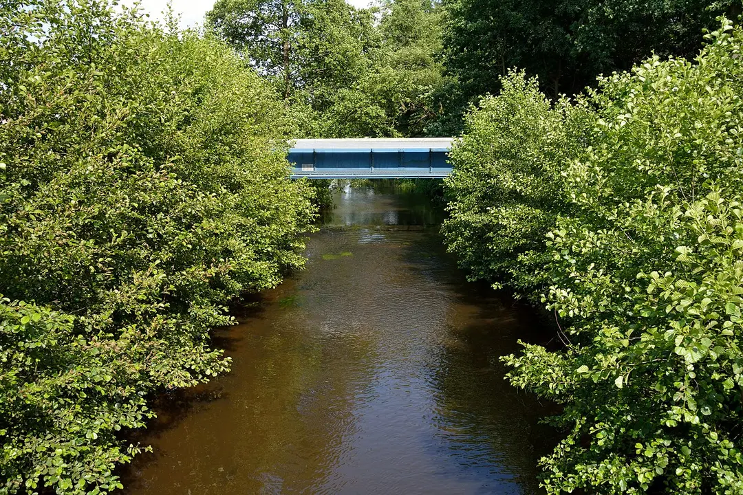 Schmalfelder Au