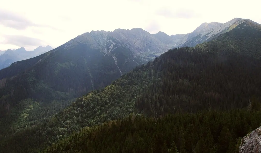 Turnia nad Dziadem