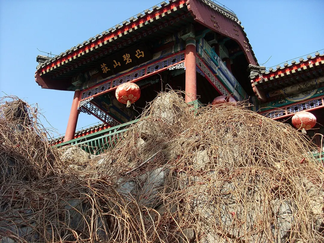 北京大观园