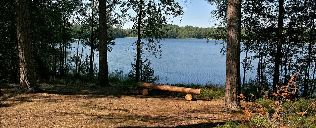 Pääjärvi