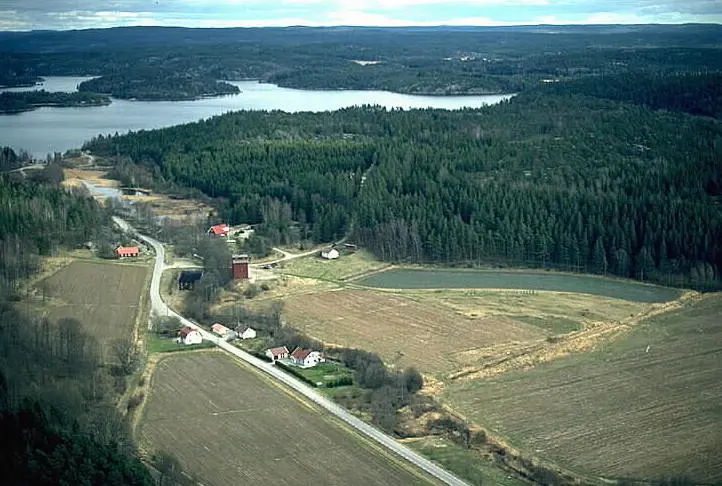 Blomsholms gravfält