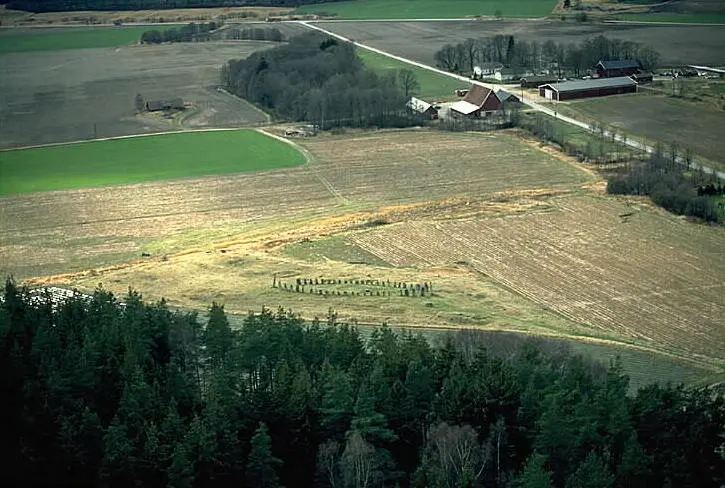 Blomsholms gravfält