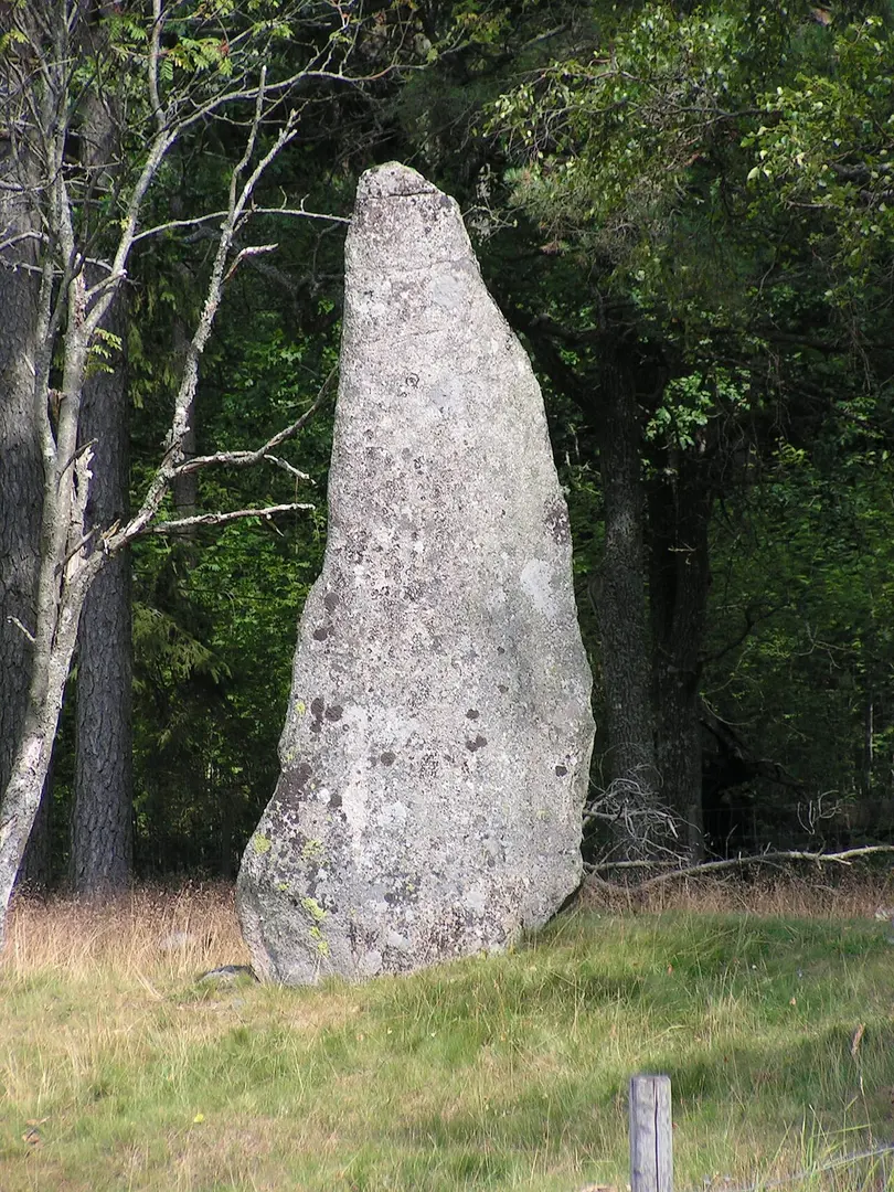 Blomsholms gravfält