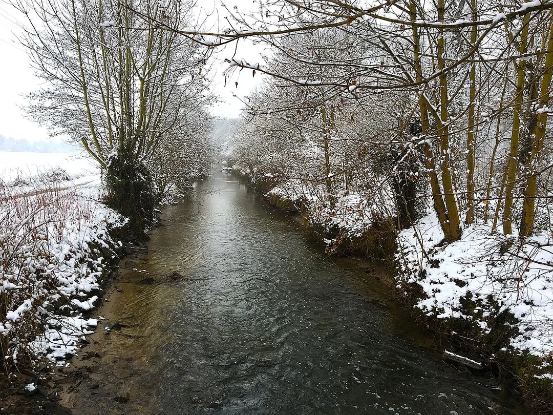 Angermündung