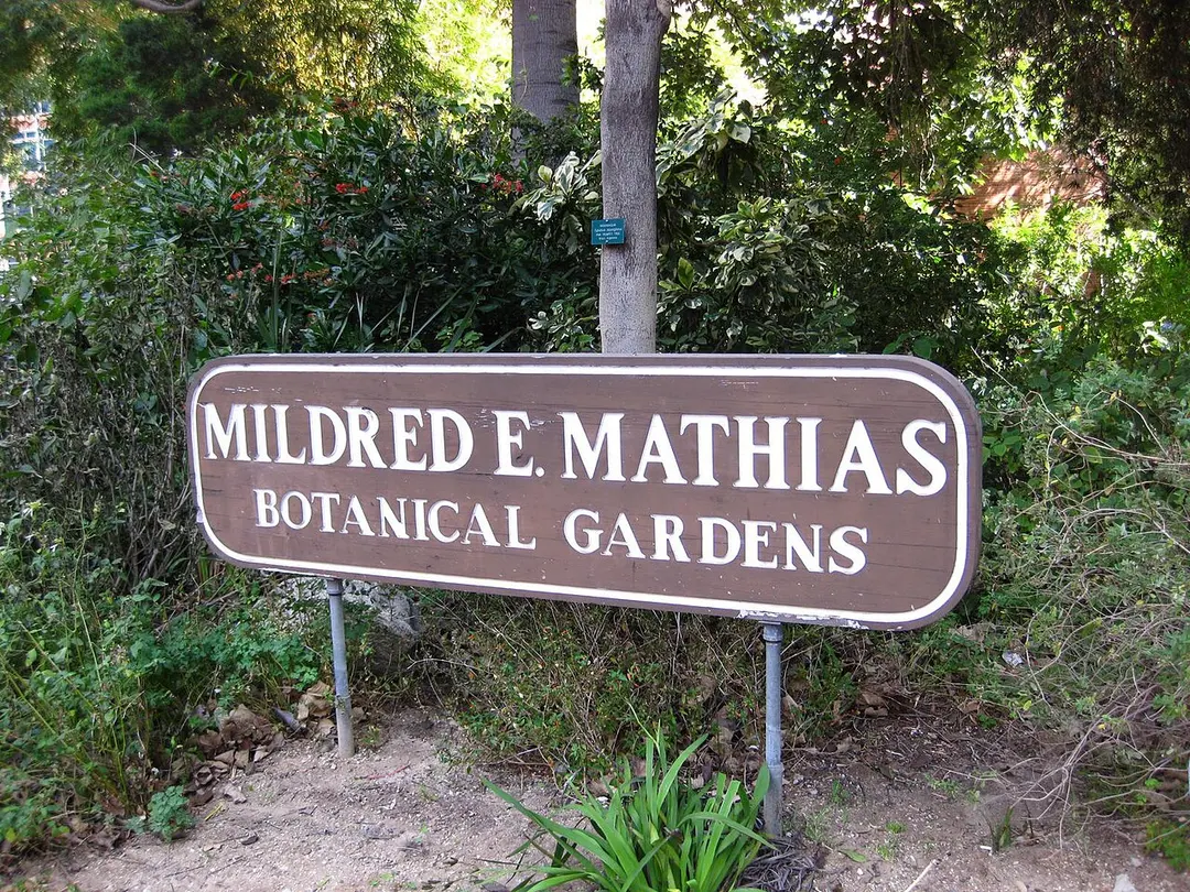 Mildred E. Mathias Botanical Garden