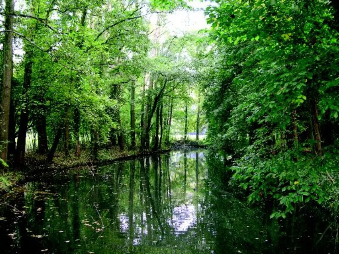 Kruikenburg