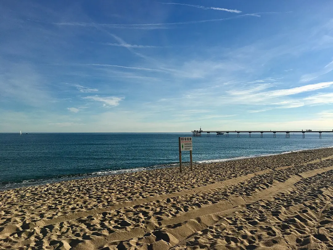 Pont del Petroli