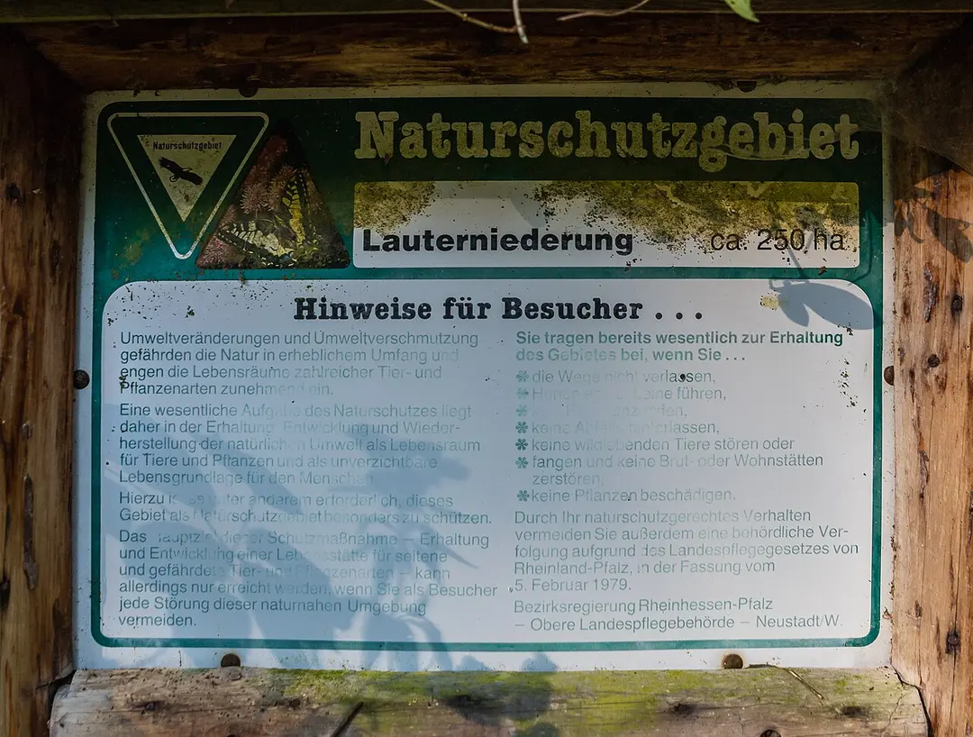 Lauterniederung