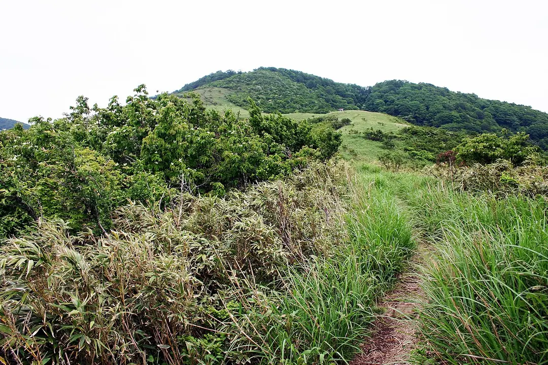 三十三間山
