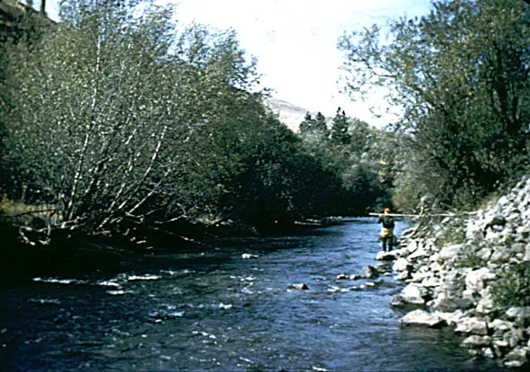 Catherine Creek