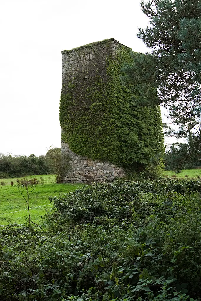 Barntown Castle (ruins)