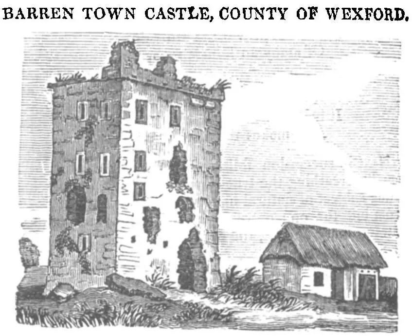 Barntown Castle (ruins)