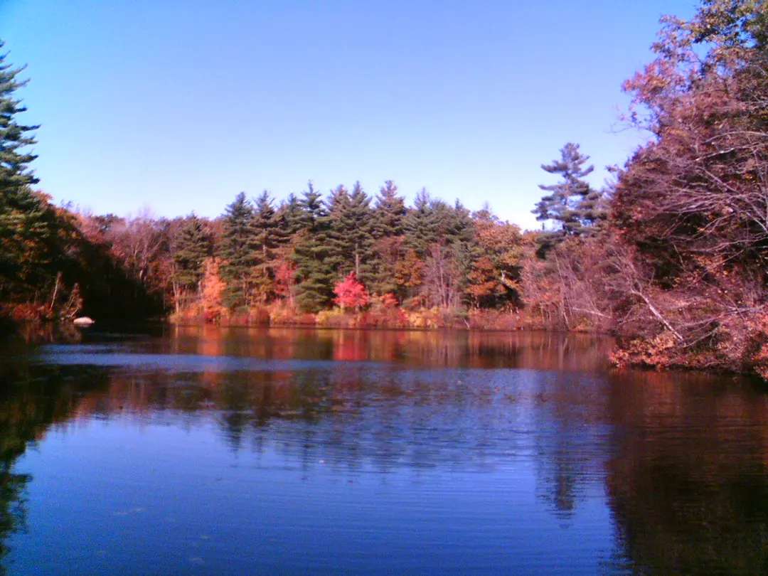 Rocky Woods Reservation