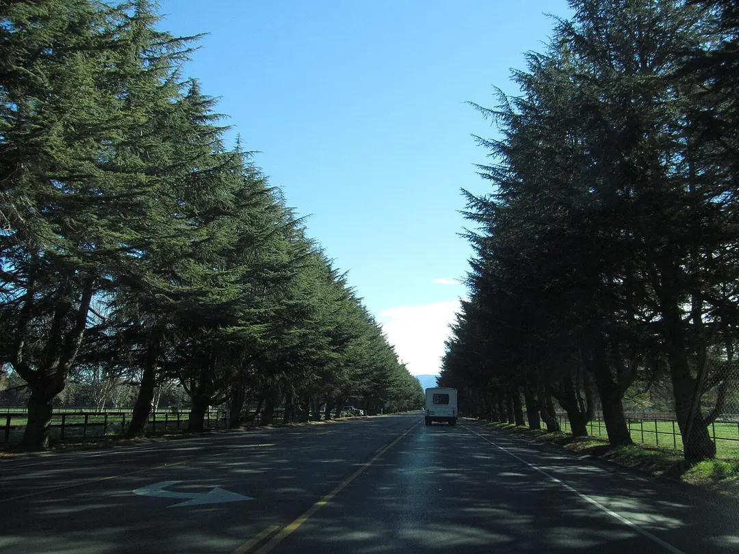 California State Route 246