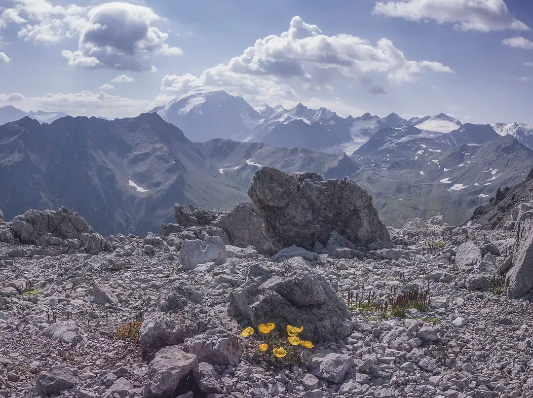 Hintere Madatschspitze