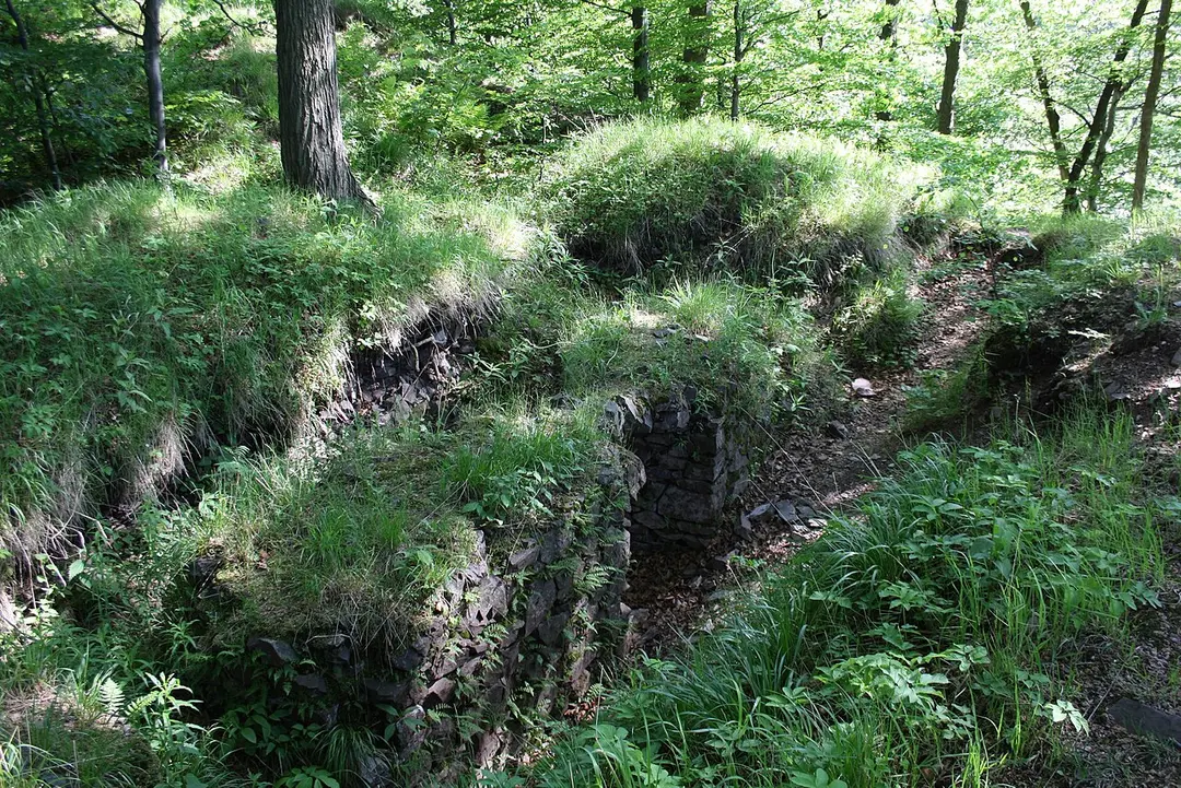 Radosno Castle