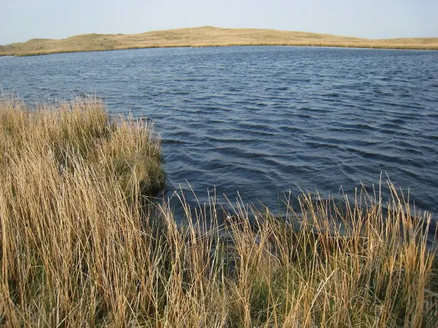 Foel Boeth