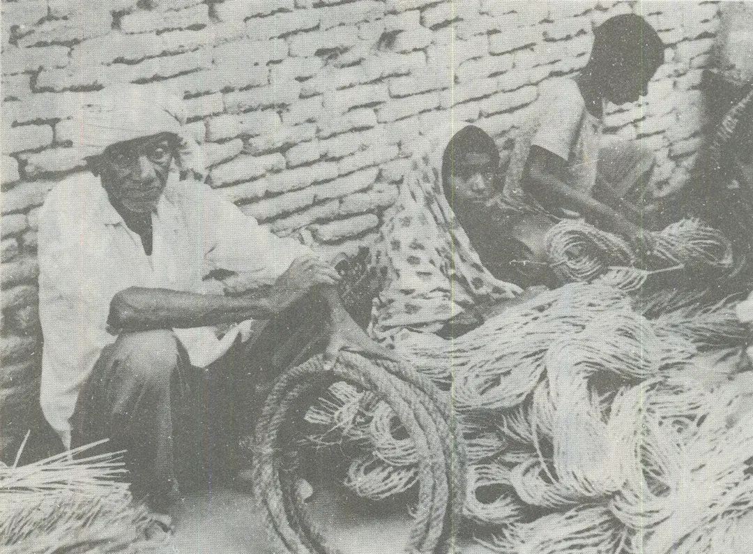 پنجشنبه بازار