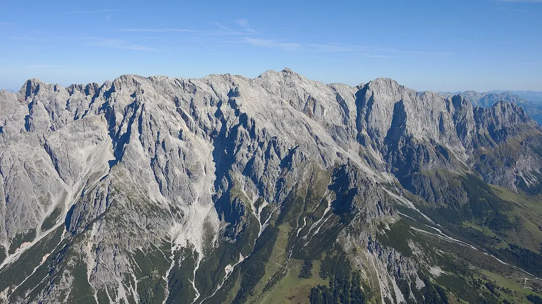 Großer Bratschenkopf