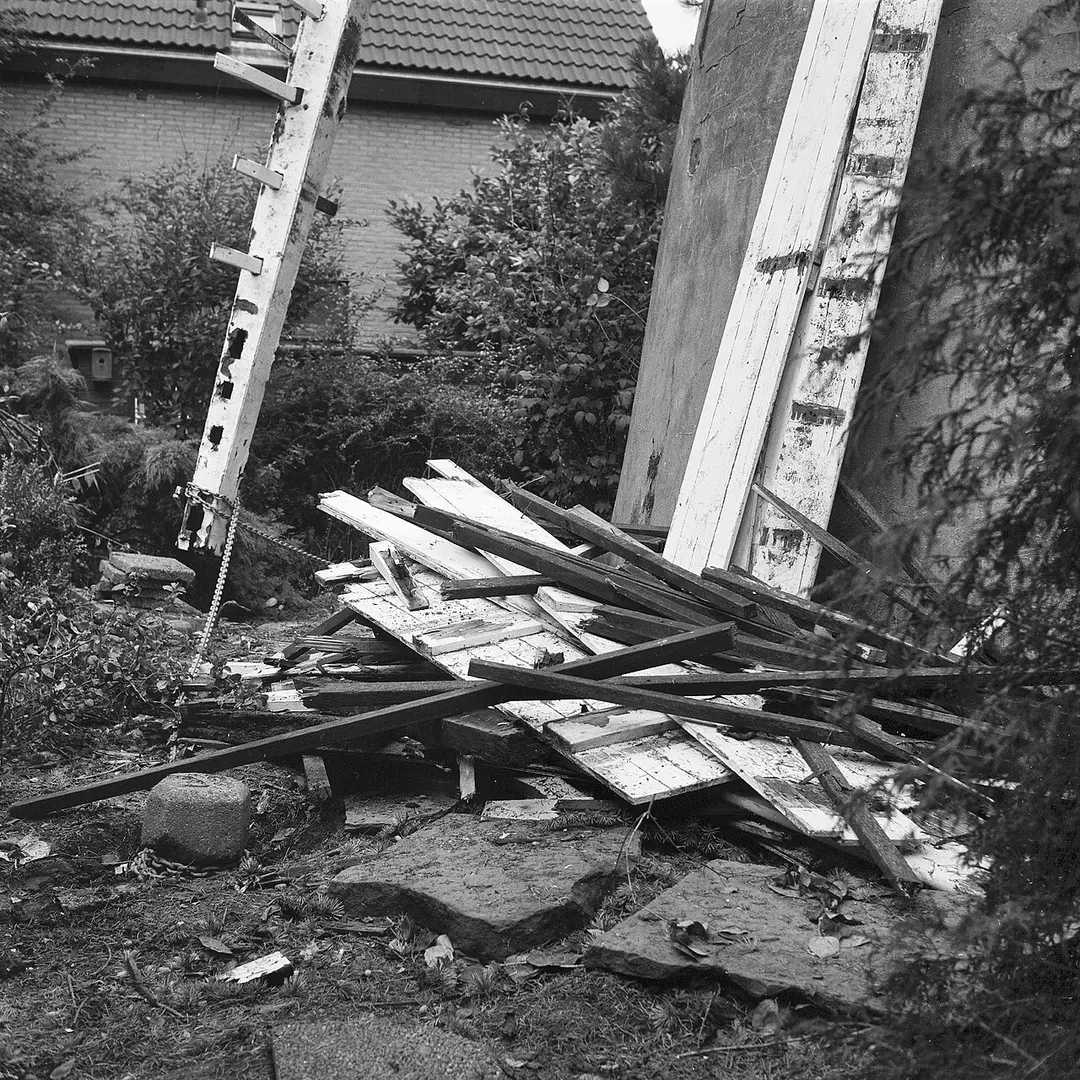 De Kersenboom