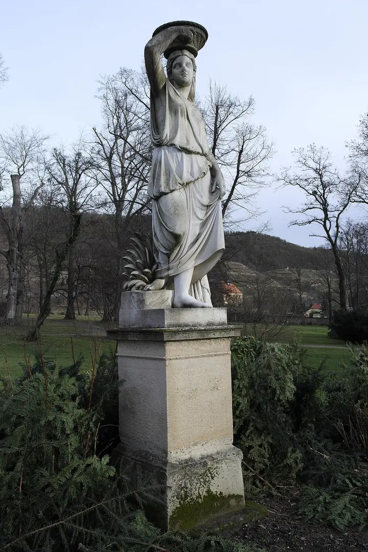 Flora