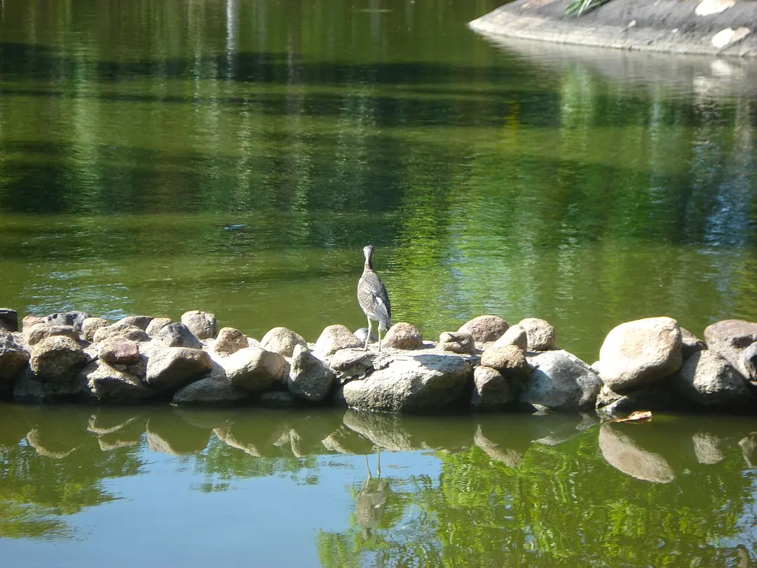 Papagayo Park