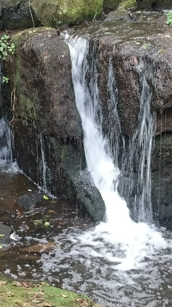 národní přírodní památka Odlezelské jezero